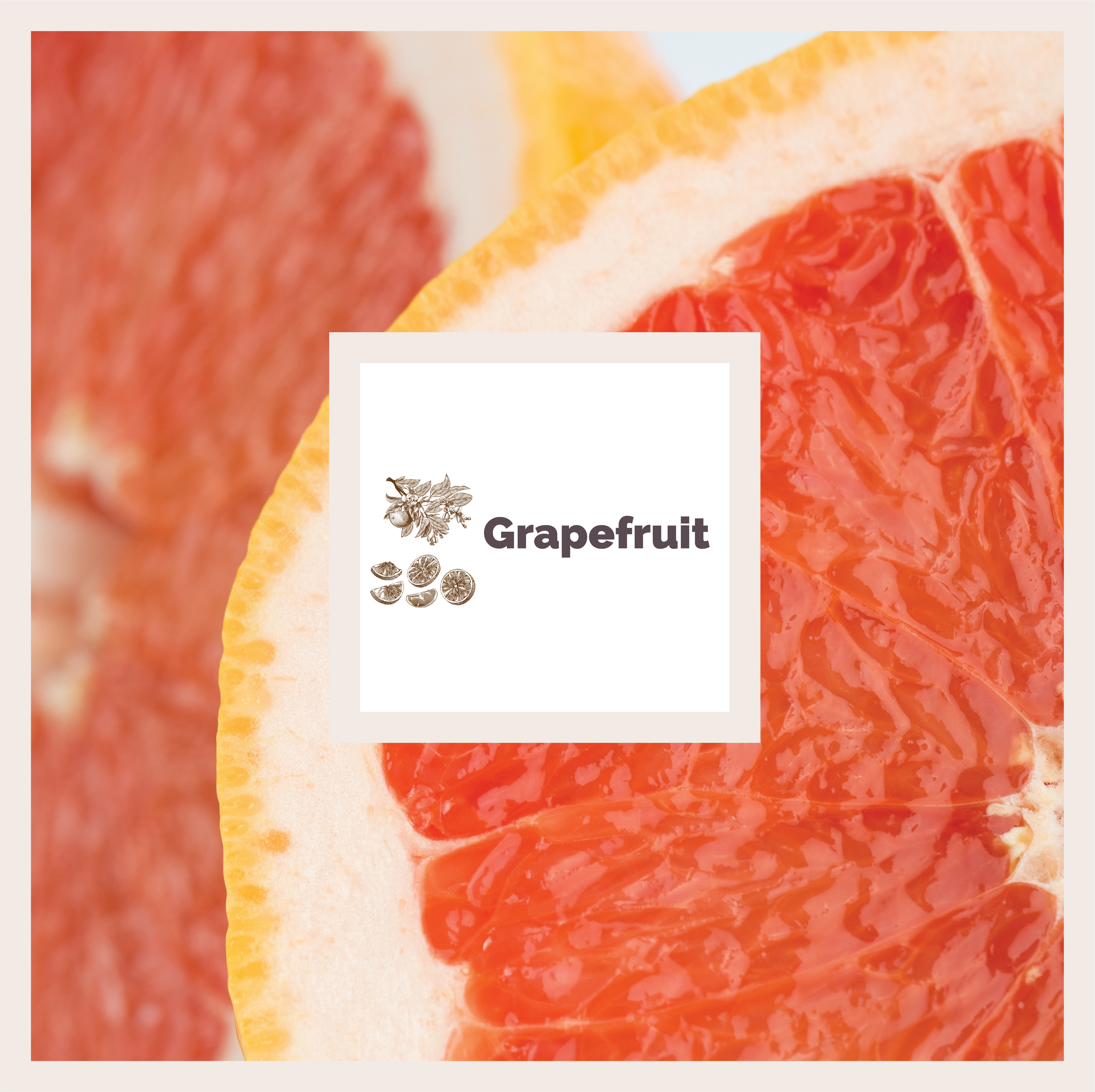 Hand & Body Wash | Grapefruit