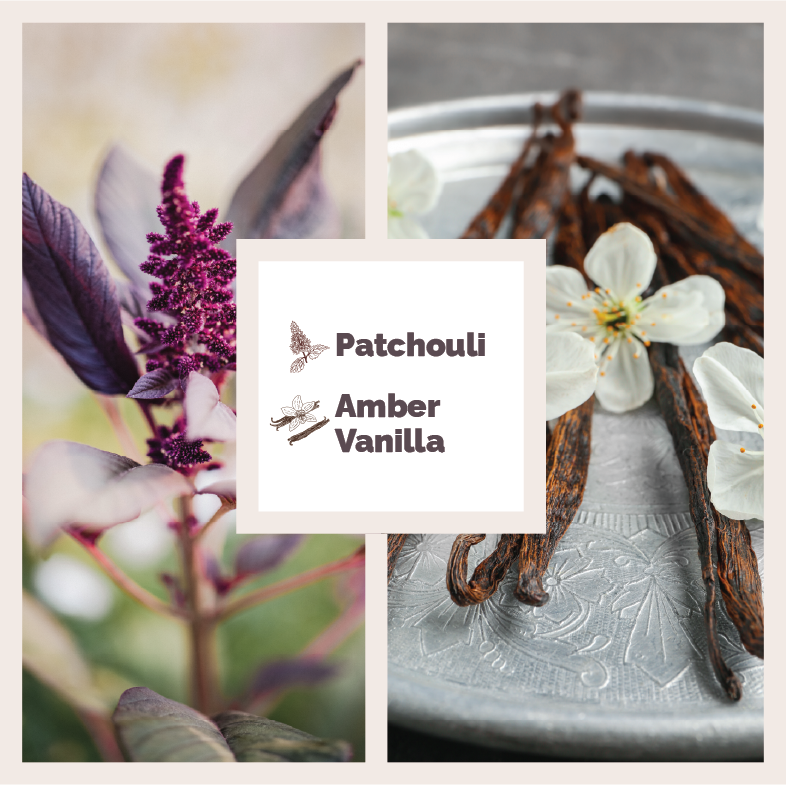 Hand &amp; Body Wash | Patchouli &amp; Amber Vanilla