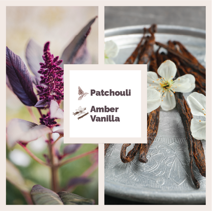 Hand &amp; Body Wash | Patchouli &amp; Amber Vanilla