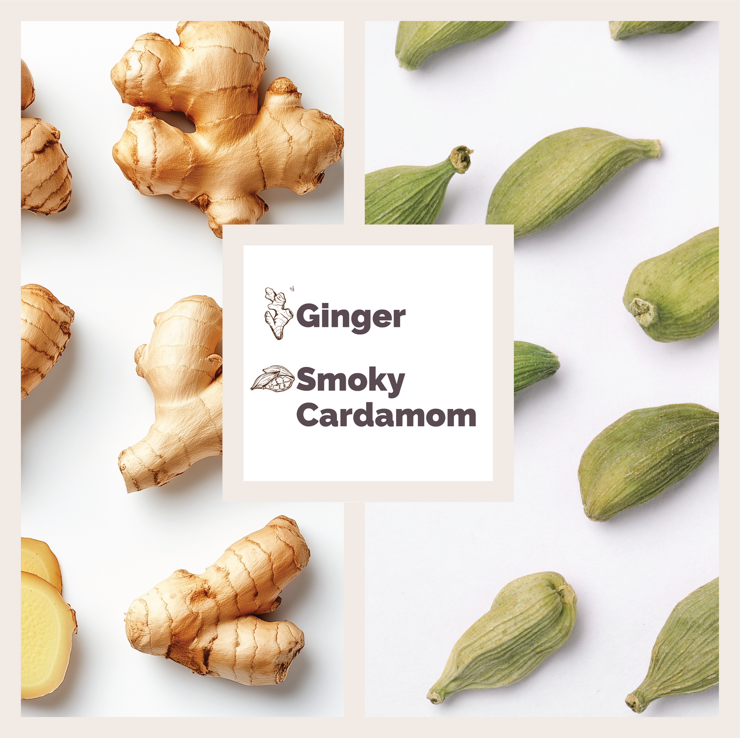 Hand &amp; Body Wash | Ginger &amp; Smoky Cardamom